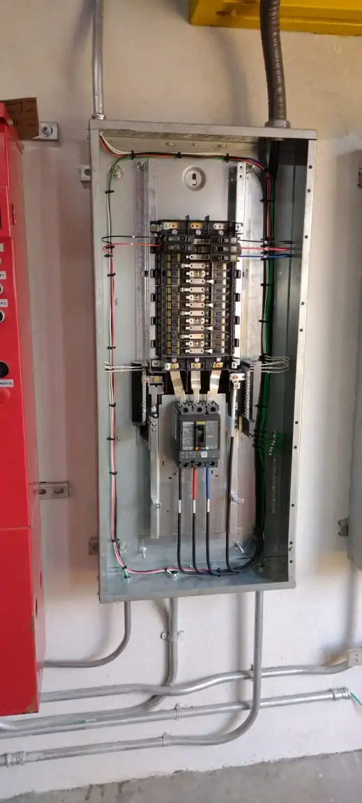 La Cartonera - Imagen 3